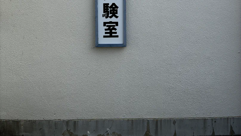 共同研究実験