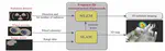 3D Radiation Imaging Using Mobile Robot Equipped with Radiation Detector