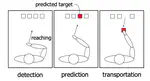 Attentive Object Feeding for Supporting Deskwork