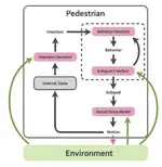 Development of Pedestrian Behavior Model Taking Account of Intention